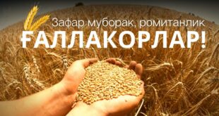 ЗАФАР МУБОРАК, РОМИТАНЛИК ҒАЛЛАКОРЛАР‼️